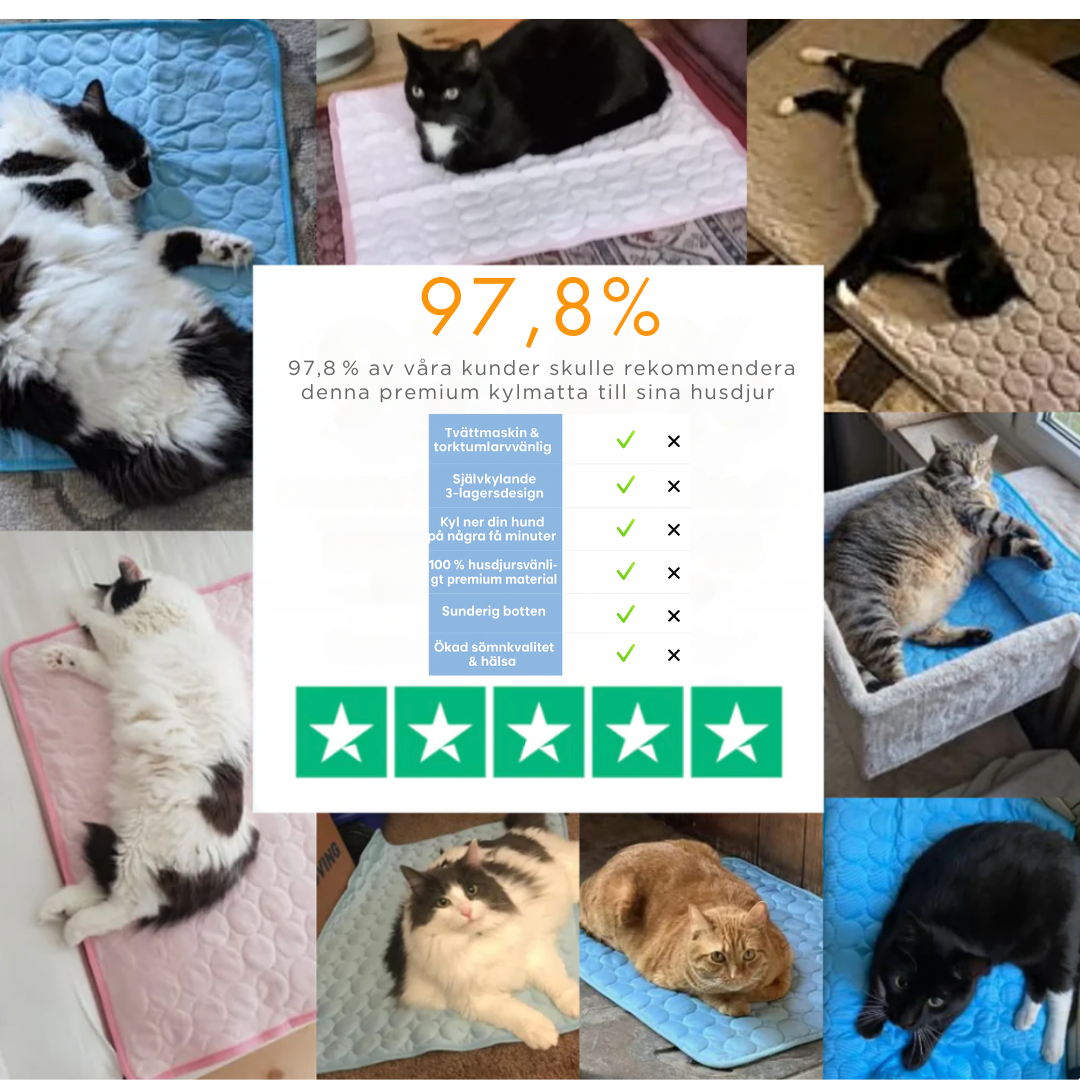 CoolPaws™ – Självkylande Dyna för Husdjur