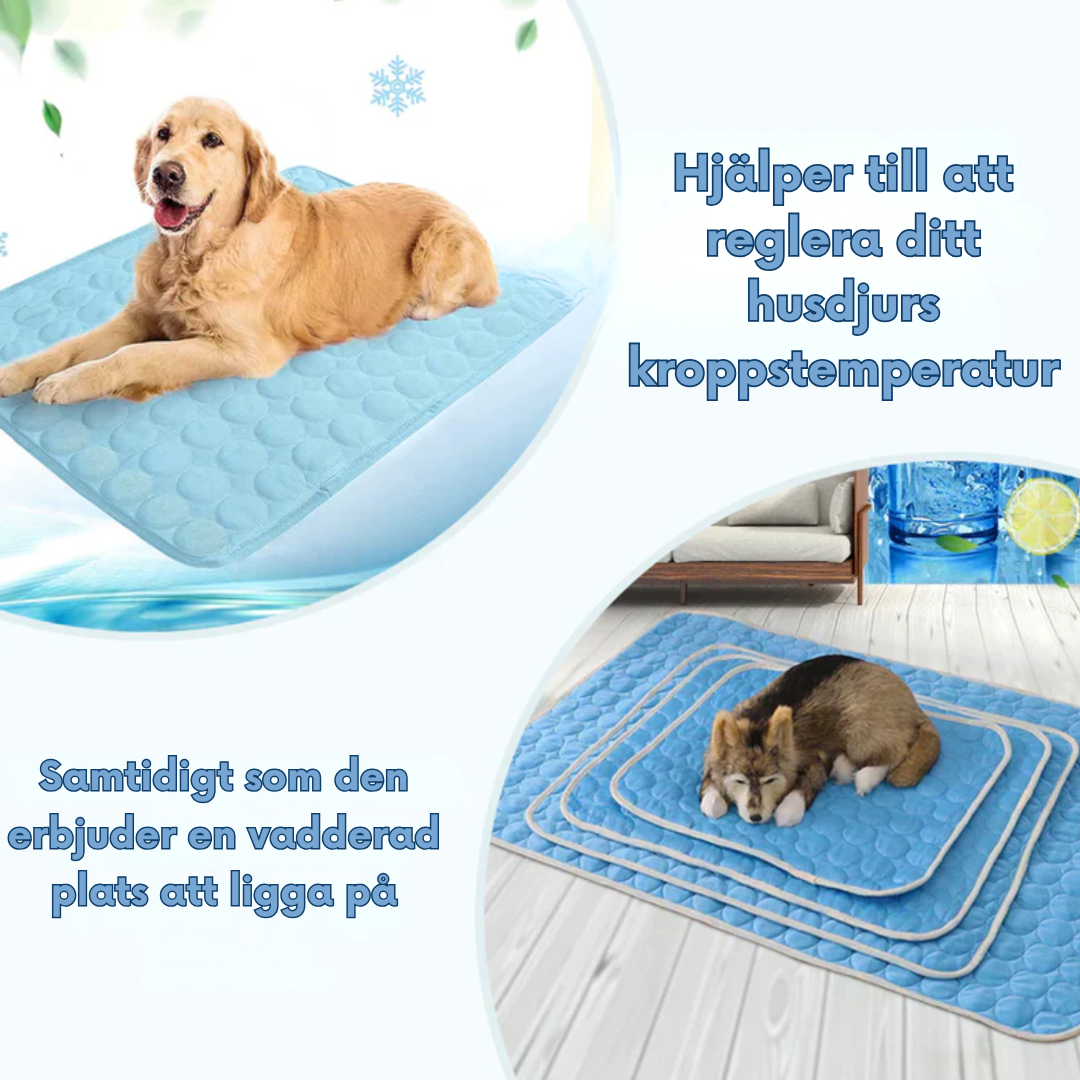 CoolPaws™ – Självkylande Dyna för Husdjur
