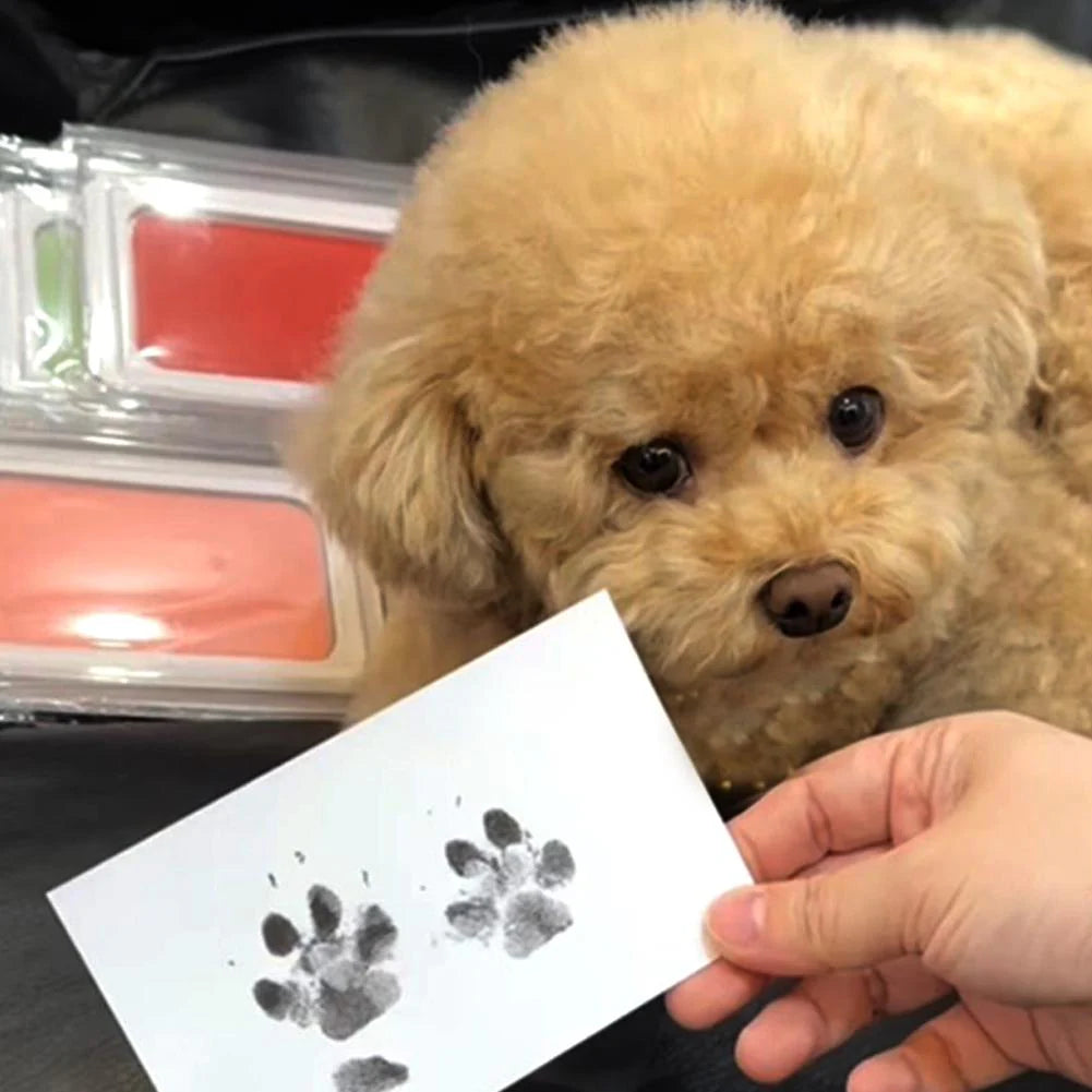 Paw Kit - Muisto, joka kestää ikuisesti