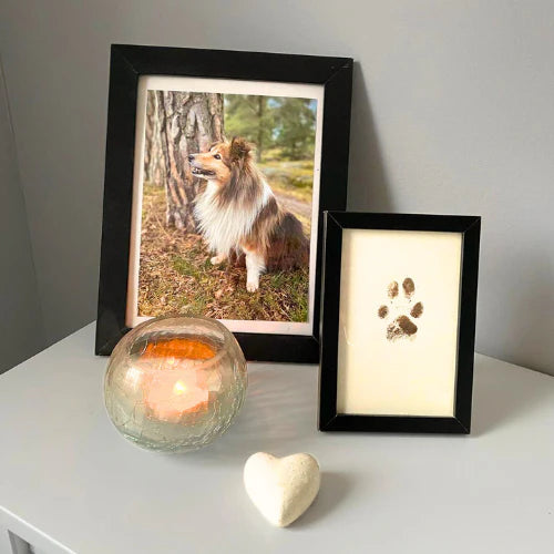 Paw Kit - Muisto, joka kestää ikuisesti