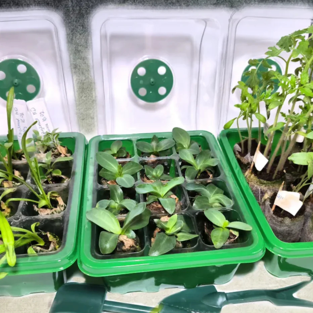 GrowEase - Sisäviljelmä LEDillä ja ilmavirtauksella