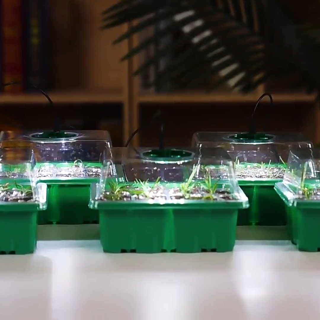 GrowEase - Sisäviljelmä LEDillä ja ilmavirtauksella