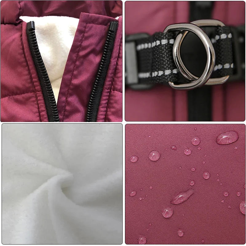 Petstar™ - Vedenpitävä talvitakki sisäänrakennetuilla valjailla