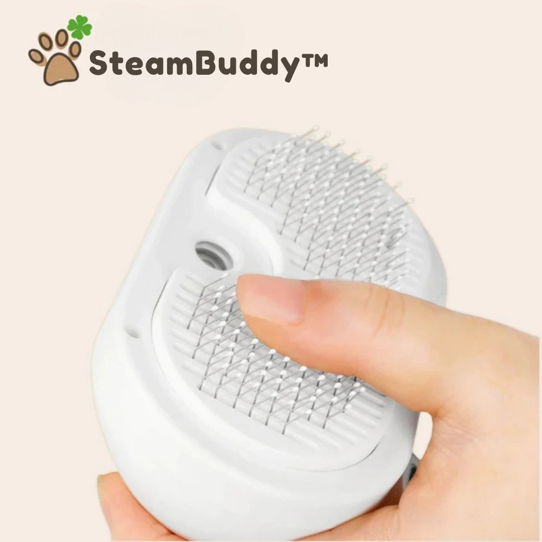 SteamBuddy™