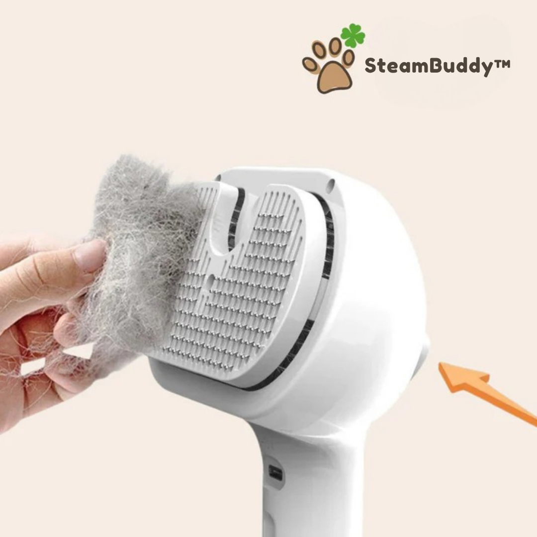 SteamBuddy™