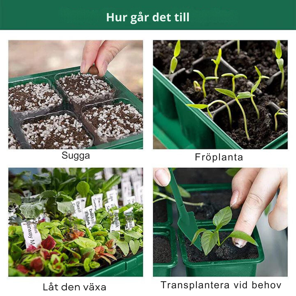 GrowEase - Sisäviljelmä LEDillä ja ilmavirtauksella