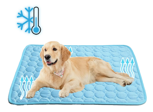 CoolPaws™ – Itsejäähdyttävä alusta lemmikeille