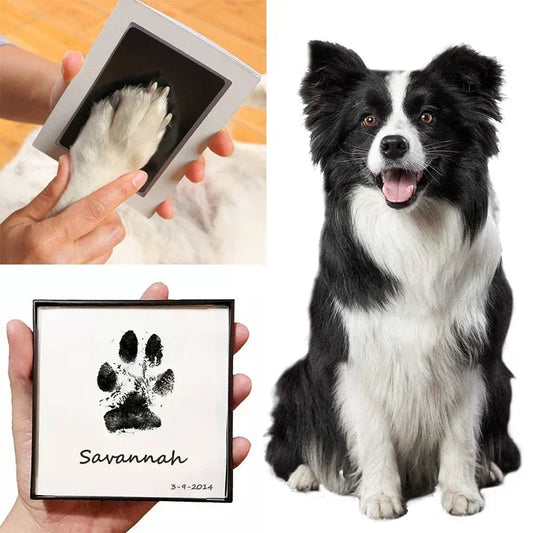 Paw Kit - Muisto, joka kestää ikuisesti