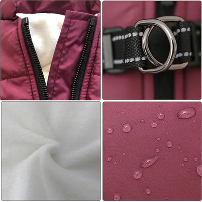 Petstar™ - Vedenpitävä talvitakki sisäänrakennetuilla valjailla 