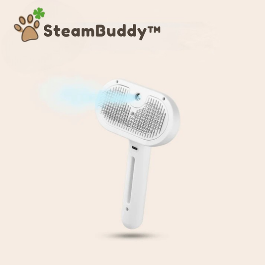 SteamBuddy™