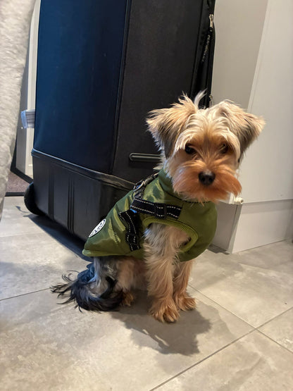 Petstar™ - Vattentät Vinterjacka med Inbyggd Sele